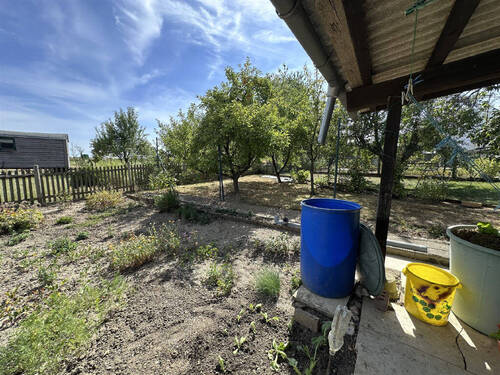 Gemüsegarten - 