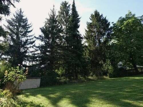 Gartengrundstück - 