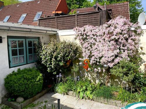 Hinterhof - 