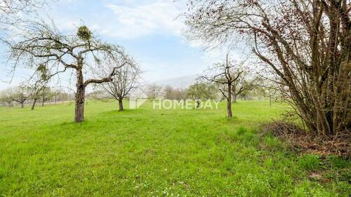 Garten 2 - 