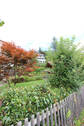 Bild15 - 