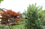 Bild16 - 