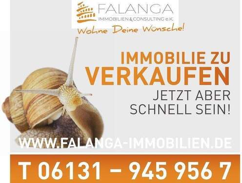 1_Schnecke - 