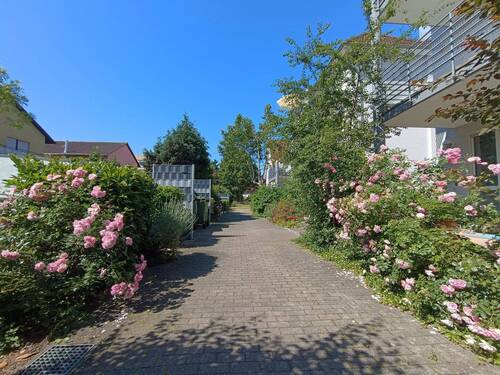Fußweg zum Haus - 