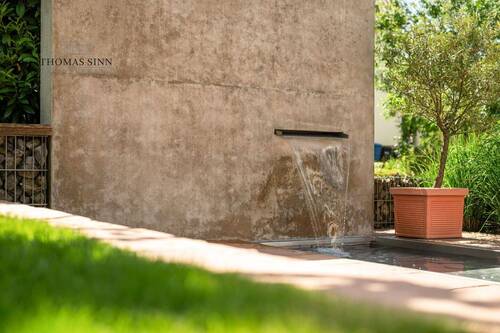 Wasserspeier - 