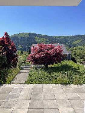 Terressa - 