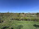 Blick aus dem Garten - 