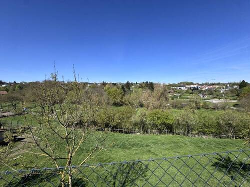 Blick aus dem Garten - 