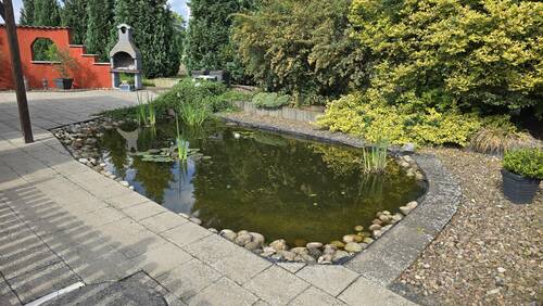 Gartenteich - 