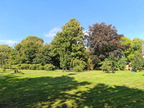 Blick in den Garten - Einfamilienhaus mit 245,00 m² in Jade zum Kaufen