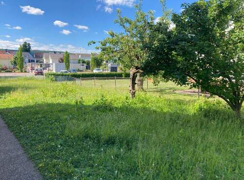 Teil_Garten_West_Süd.jpg - 