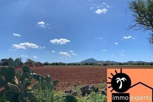 Bild 2 - Exklusives Finca - Baugrundstück auf Mallorca