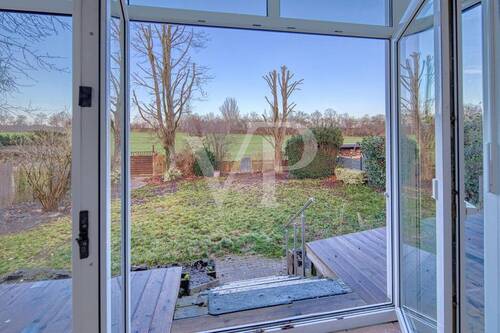 Blick in den Garten - 