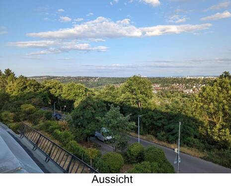 PXL_20230713_174137549 (2) - 