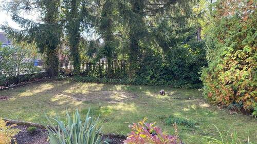 Garten - 6 Zimmer Einfamilienhaus in Rothenburg