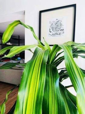 .. Detail verliebt ! - 