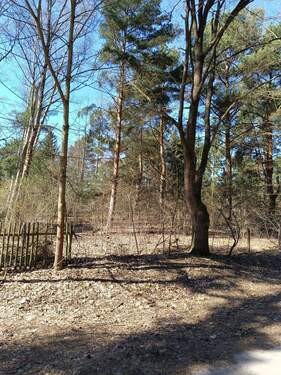 1743746103734.jpg - Grundstück zum Kaufen in Mittenwalde