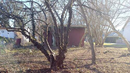 1741074052327.jpg - Grundstück in Brieselang