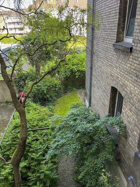 Blick in den Garten - 