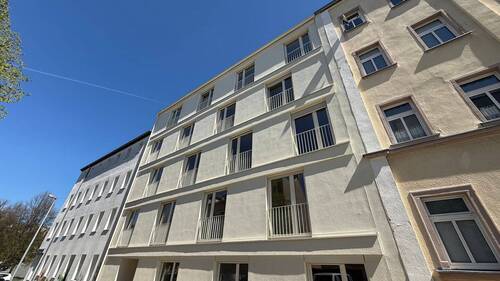 IMG_8803 - 