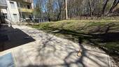 IMG_8683 - 