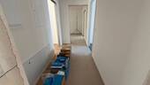 IMG_8684 - 