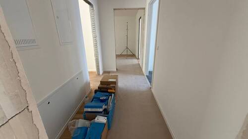 IMG_8684 - 