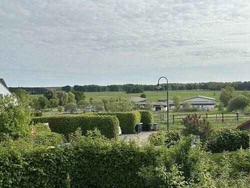 Blick vom Balkon über die angrenzenden Wiesen - 