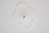 Detail - 