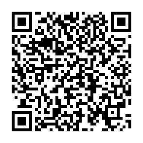 QR-Code - 