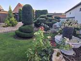 Garten - 5 Zimmer Einfamilienhaus zum Kaufen in Könnern