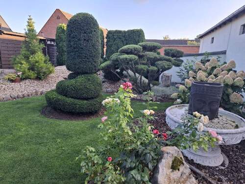 Garten - 5 Zimmer Einfamilienhaus zum Kaufen in Könnern