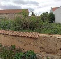 Traumhaft Wohnen im grünen Möbisburg - Grundstück - Erfurt Möbisburg-Rhoda