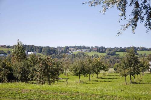 Umliegende Natur - 2 Zimmer Etagenwohnung zum Kaufen in Weingarten