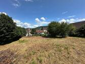 Aussicht II.jpg - Grundstück in Friesenheim