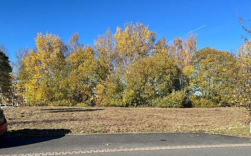 IMG_3172 - Grundstück zum Kaufen in Ilmenau