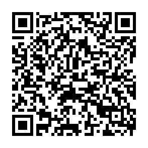 QR-Code - 