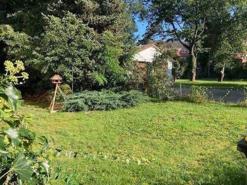 Kleiner Garten - 
