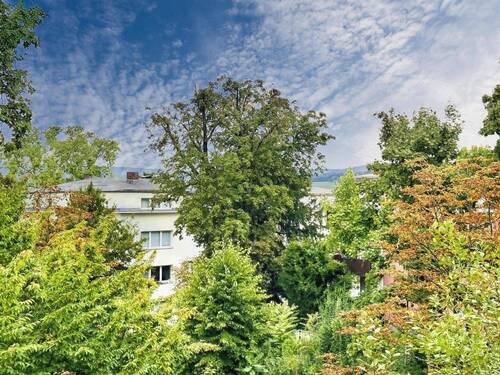 Ausblick vom Balkon - 