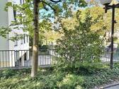 Seitenansicht - 4 Zimmer Etagenwohnung zum Kaufen in Wiesbaden