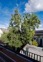 DGlinks_ausblick.jpg - 