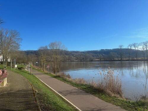 Umgebung Mosel - 