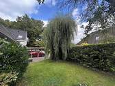 Trauerweide - 