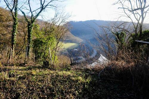 416171228_419959853740072_8847943829175936852_n.jp - Grundstück zum Kaufen in Taben-Rodt