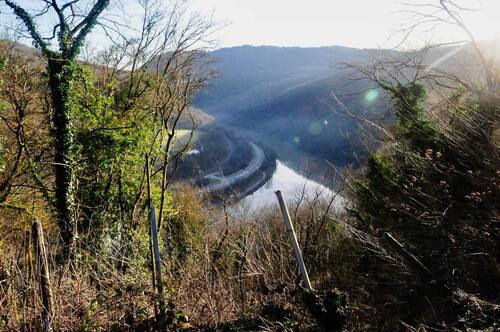 416580379_766532722082602_7874075567675185356_n.jp - 