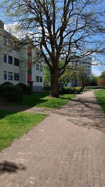 Bild 2 - 3 Zimmer Etagenwohnung zum Kaufen in Niedersachsen - Isernhagen