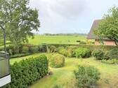Elbmarsch Blick - 