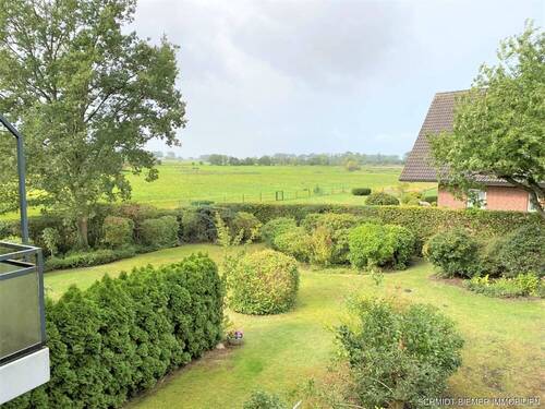 Elbmarsch Blick - 
