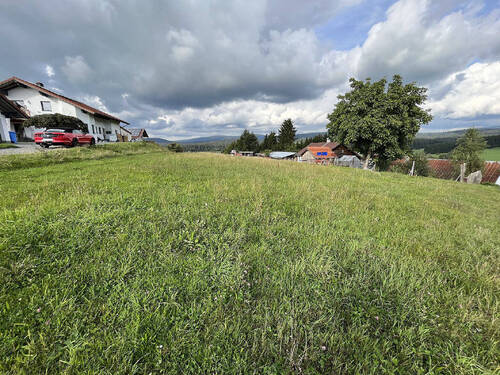 großzügiges Baugrundstück - 