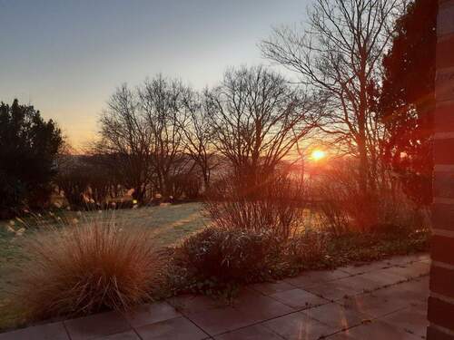 Sonnenuntergang im Garten - 